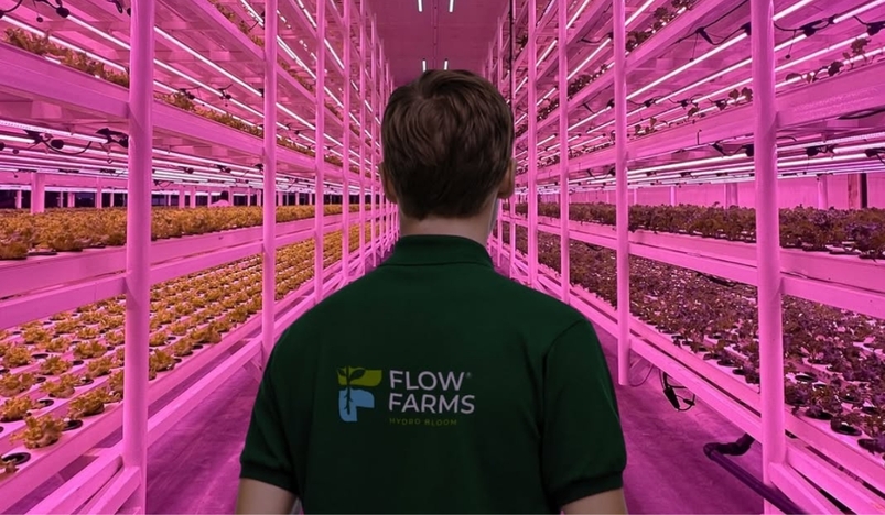 Flow Farms Pioneering Innovative and Sustainable Farming Solutions in Qatar